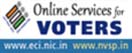Image of Online Services for Voters